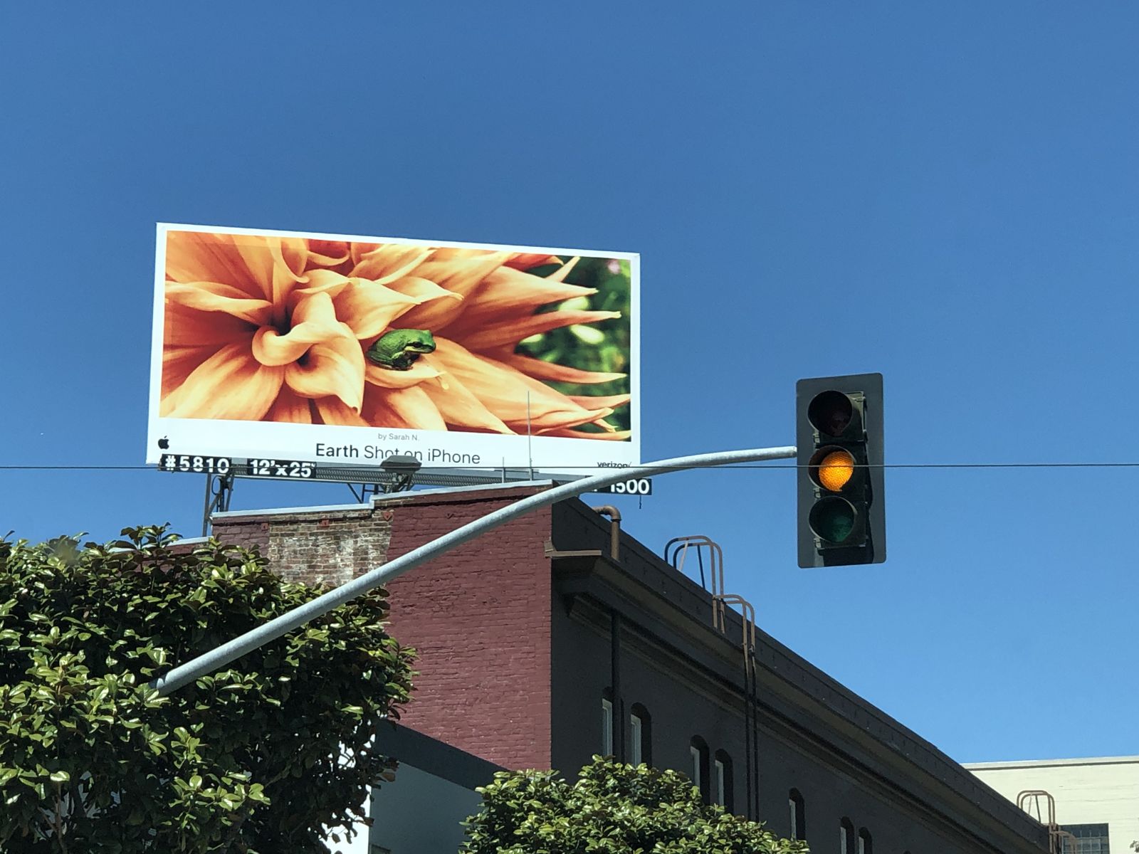 Drew Print selected work 8