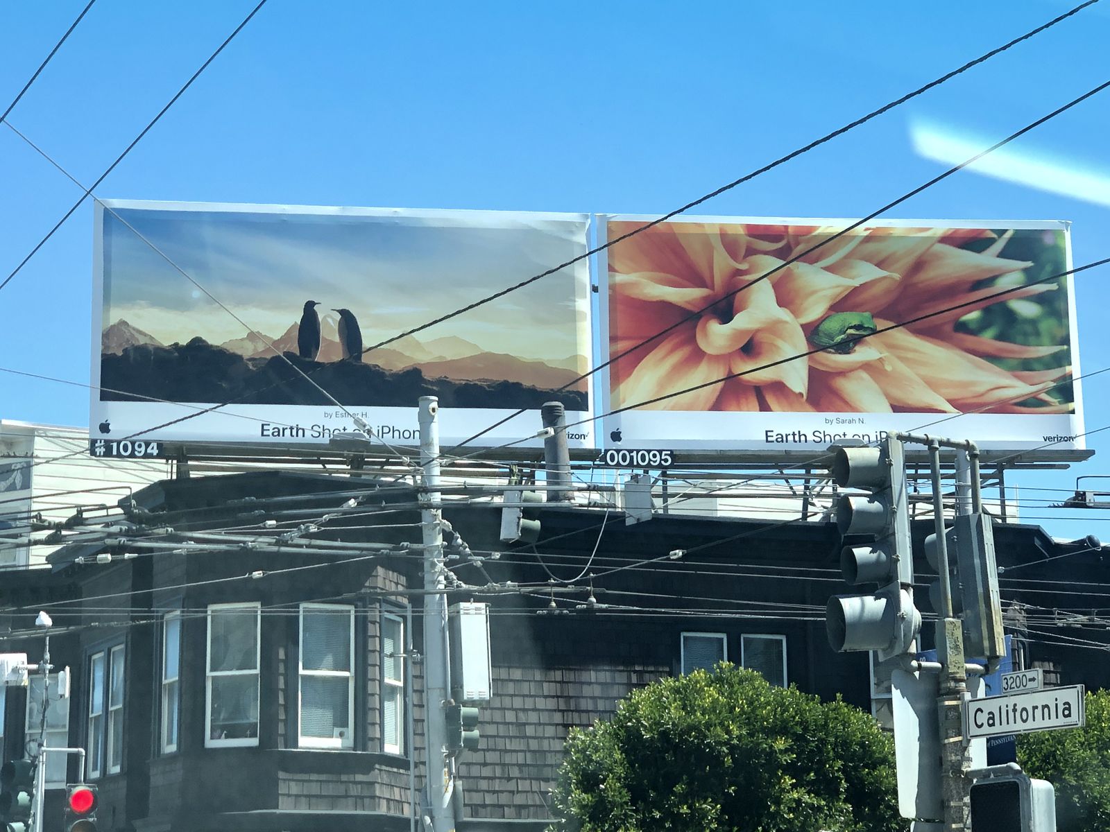 Drew Print selected work 12