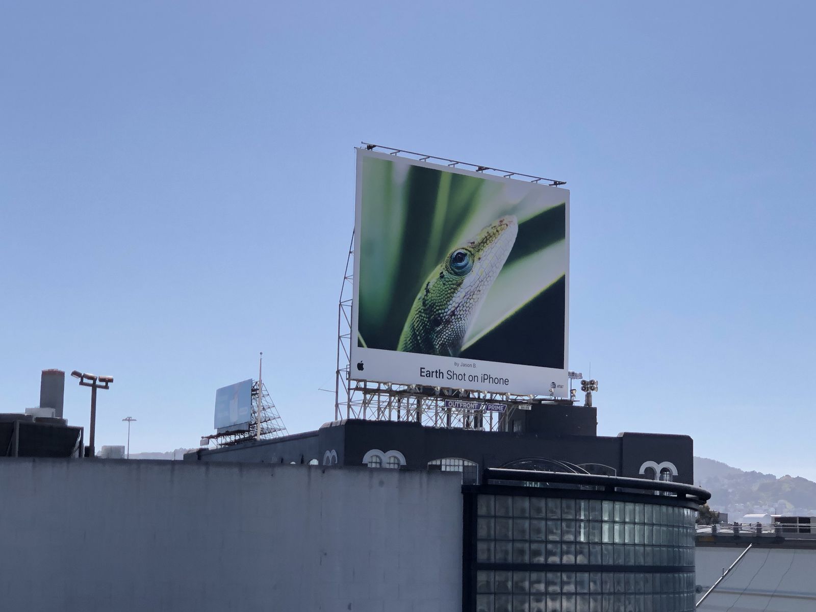 Drew Print selected work 14