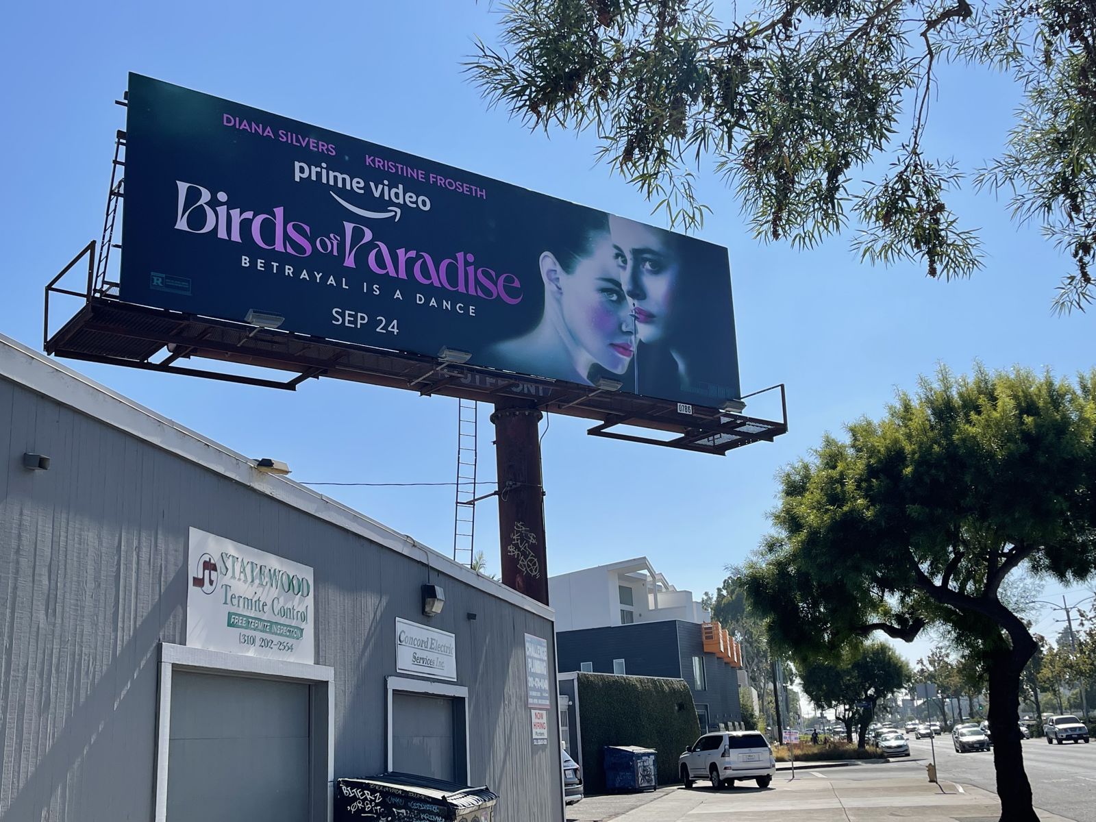 Drew Print selected work 38